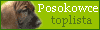 toplista