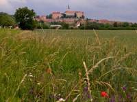 Mikulov