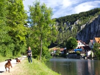 бавария